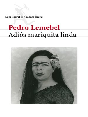 cover image of Adiós mariquita linda